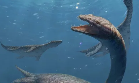 Trung Quốc: Quái vật cổ dài 42 đốt xuất hiện gần Lệ Giang cổ trấn