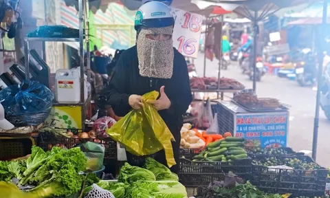 Méo mặt vì giá rau tăng phi mã