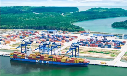 Sở hữu cảng 11.000 tỷ vẫn không được phép nhập khẩu mặt hàng quan trọng, Đồng Nai quyết "xin" quyền