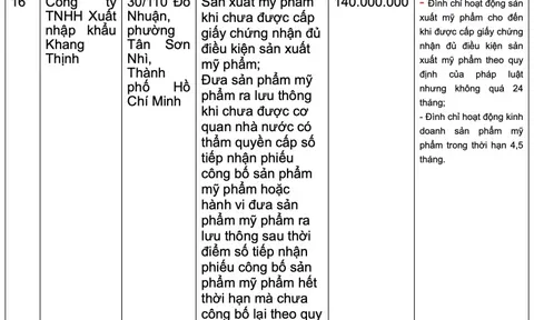 TPHCM xử phạt nhiều nhà thuốc, công ty dược