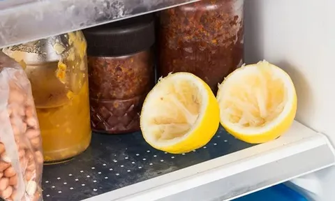 Tại sao nên giữ miếng lót y tế trong tủ lạnh?