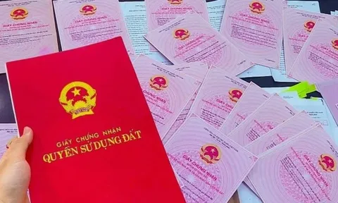 Cách nộp sổ đỏ trên VNeID để "làm sạch" dữ liệu đất đai
