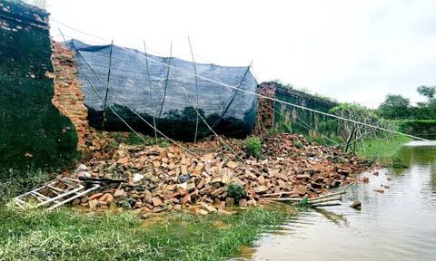 Công bố tình huống khẩn cấp do thiên tai ở di tích Đại Nội Huế