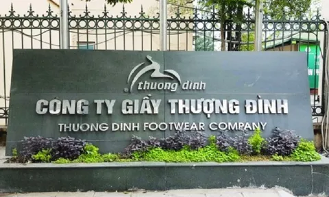 UBND TP Hà Nội thoái vốn, Giày Thượng Đình sắp đổi chủ?