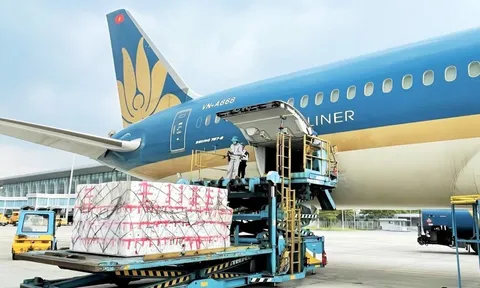 Hàng không khôi phục bay đến vùng mưa lũ