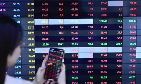 Con trai sếp REE muốn bán bớt cổ phần, động thái mới của Chủ tịch Nam Long với quyền mua cổ phiếu