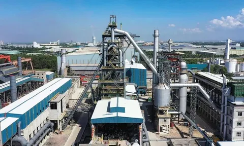 Vingroup hợp tác và hỗ trợ Pomina phát triển