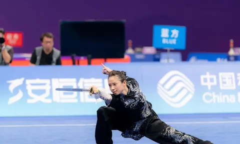 Dương Thúy Vi là ai?