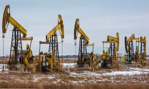 Dầu Nga có giá chiết khấu sâu kỷ lục, một khách sộp vừa tuyên bố 'cắt đứt' nay ngỏ ý muốn mua lại, tìm cách lách lệnh trừng phạt