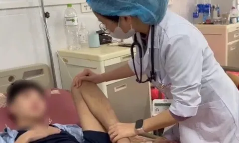 Vết thương do heo cắn khiến bé trai 14 tuổi nguy kịch