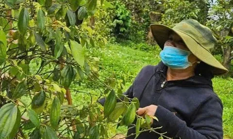 5 hiệp hội ngành hàng tỉ đô kiến nghị Quốc hội gỡ khó vụ thuế giá trị gia tăng