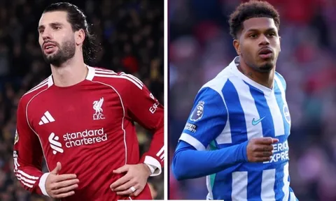 Soi tỉ số trận Liverpool - Brighton: Mưa bàn thắng ở Anfield?