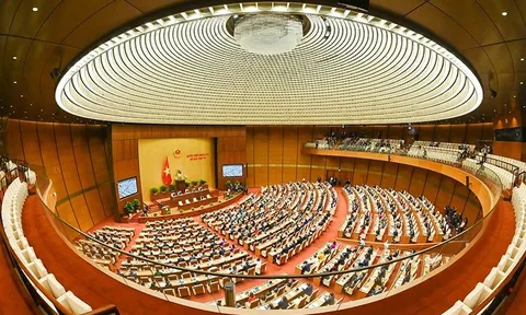 Quốc hội nhiệm kỳ khóa mới: Hà Nội và TPHCM có số đại biểu Quốc hội được bầu nhiều nhất