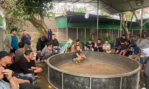 Cảnh sát đồng loạt đột kích khu vực sau nhà của Hồ Anh Quyết, bắt 28 người