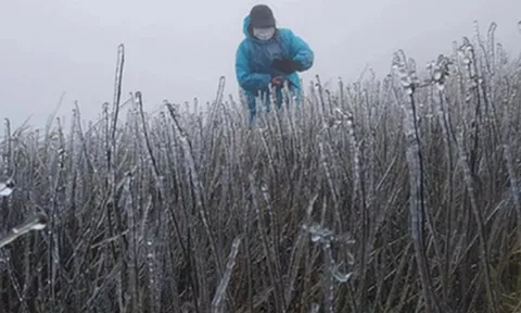Đón không khí lạnh "lạ thường" dồn dập, có nơi dưới 6 độ C, dự báo ngày rét đậm nhất 2025