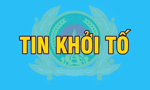 Khởi tố Chi Cục trưởng, Trưởng phòng, Chuyên viên, Giám đốc doanh nghiệp..