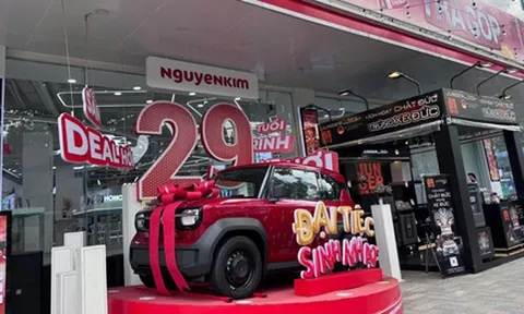 Thương vụ Nguyễn Kim và thị trường điện máy