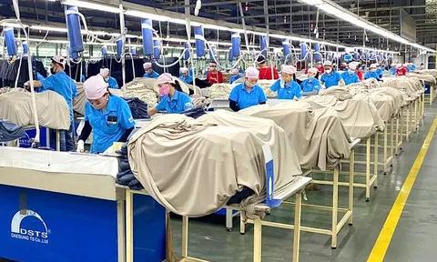 2.640 công nhân Công ty Panko Vina sắp mất việc sẽ được giới thiệu việc làm mới