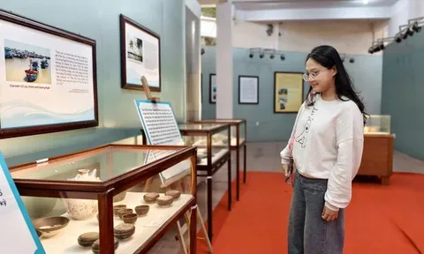 Ngắm di sản trục vớt từ các tàu cổ khắp Việt Nam hội tụ tại Quảng Ngãi