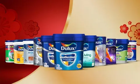 AkzoNobel tăng cường hoạt động chống sơn giả