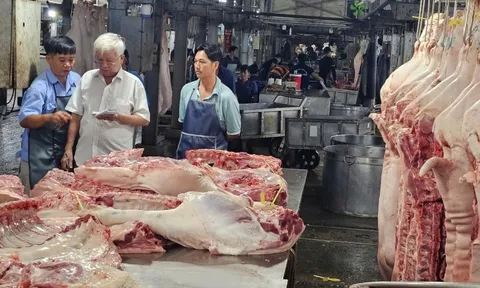 Sắp áp dụng thuế kê khai, thương nhân tại chợ đầu mối vẫn rối dù khẳng định tuân thủ quy định