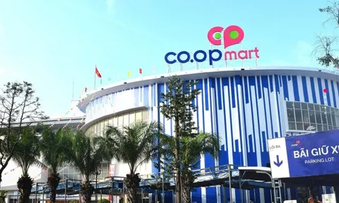 Co.opmart Bình Triệu gặp khó, phải trả mặt bằng thuê trước hạn, công ty trên sàn ‘trầy trụa’ tìm khách mới