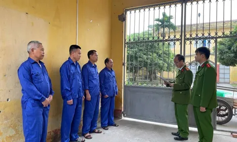 Thi hành lệnh bắt tạm giam chủ hộ kinh doanh Trịnh Đình Loan