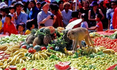 Buffet cho khỉ: Đại tiệc độc nhất vô nhị ở Thái Lan