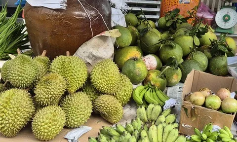 Giá sầu riêng Ri 6 rẻ bất ngờ