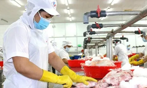 Mức thưởng Tết nguyên đán ở Hà Nội cao nhất hơn 600 triệu đồng