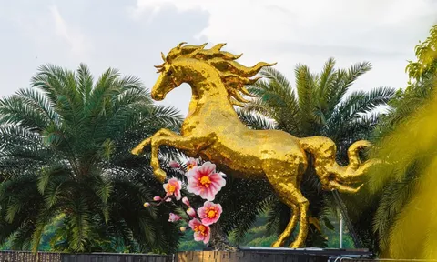 'Cha đẻ hoa hậu mèo Quảng Trị' làm linh vật ngựa ở sân bay Đà Nẵng