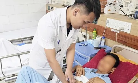 Mật cá, mật động vật: “Thần dược” truyền miệng hay hiểm họa cho sức khỏe?