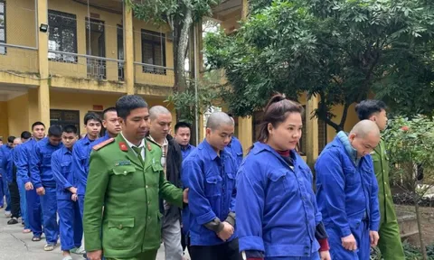 Cảnh sát triệt phá đường dây lừa đảo và đánh bạc liên tỉnh hơn 9.300 tỷ đồng