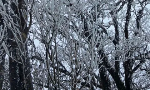 Không khí lạnh tăng cường, rét đậm lan rộng, nhiều nơi xuống dưới -3 độ C