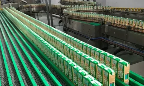 Chủ sữa Kun báo lỗ, cổ đông vẫn nhận cổ tức tiền mặt 75%