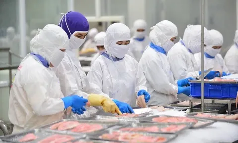 Ngành thủy sản tính năm nay khai thác và nuôi trồng trên 10 triệu tấn, xuất khẩu 11,5 tỉ USD