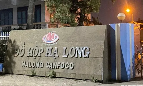 Vụ 120 tấn lợn bệnh tuồn vào Đồ hộp Hạ Long: Thương hiệu "quốc dân" sở hữu loạt giải thưởng danh giá