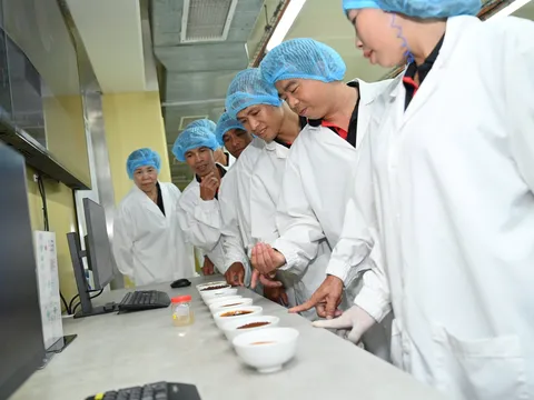 Người nông dân tiên phong trong chuyển đổi xanh và phát triển nông nghiệp bền vững