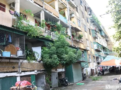 Người dân sống nơm nớp trong khu chung cư gần 50 năm tuổi "chờ sập" ở Nghệ An