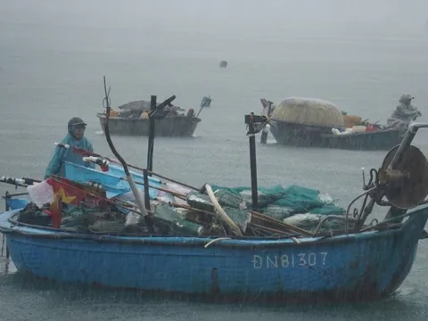 Đà Nẵng phát công điện khẩn ứng phó bão số 5