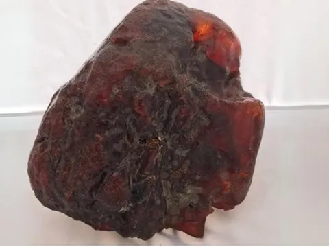 Khối đá chặn cửa 'vô dụng' này hóa ra lại có giá trị lên tới hơn 30 tỷ đồng!
