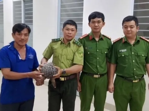Đang đi trên đường, người đàn ông phát hiện con tê tê quý hiếm nặng gần 4kg