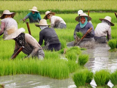 Nước ĐNÁ nhập khẩu gạo nhiều nhất thế giới mua 75% sản phẩm từ Việt Nam