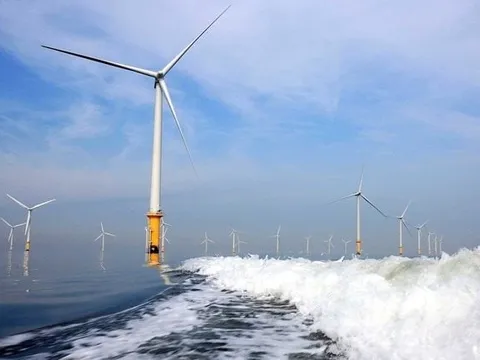 Cơ Điện Lạnh (REE) trúng thầu 2 dự án điện gió công suất 80 MW, tổng mức đầu tư 3.860 tỷ đồng tại Vĩnh Long