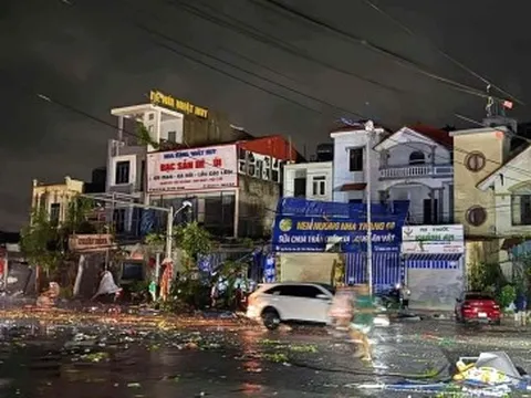 Chủ tịch Ninh Bình yêu cầu khám chữa miễn phí người dân bị thương do bão số 5