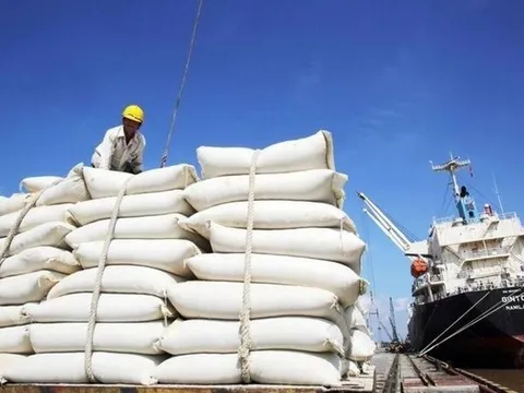 Gạo Việt ‘phanh gấp’ trước động thái cứng rắn của Philippines