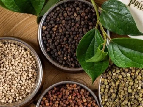 Giá tiêu hôm nay 3/9: Tiếp đà tăng mạnh nhiều phiên liên tiếp