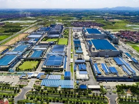 Siêu dự án 3 tỷ USD của Thaco đem về hàng trăm tỷ tiền đền bù đất mỗi năm cho một công ty cao su?