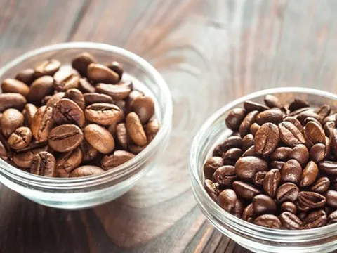 Giống cà phê lâu đời nhất Việt Nam chứa 3 “thần dược” chống tiểu đường