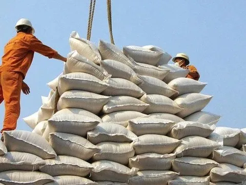Phát hiện nhiều vi phạm của doanh nghiệp xuất khẩu gạo